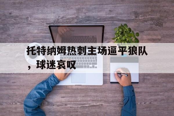 关于托特纳姆热刺主场逼平狼队，球迷哀叹的信息