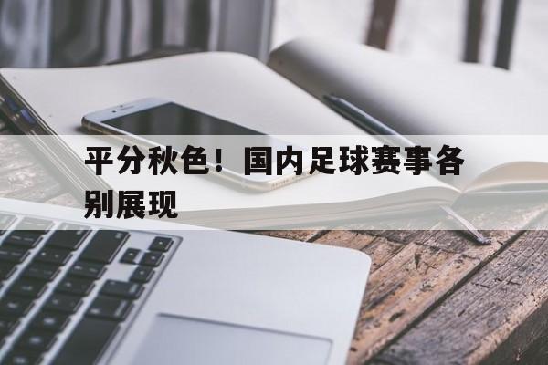 平分秋色！国内足球赛事各别展现的简单介绍